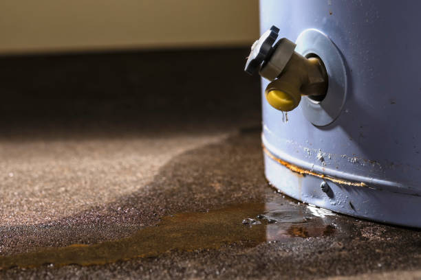 Best Local water damage restoration  in Southchase, FL