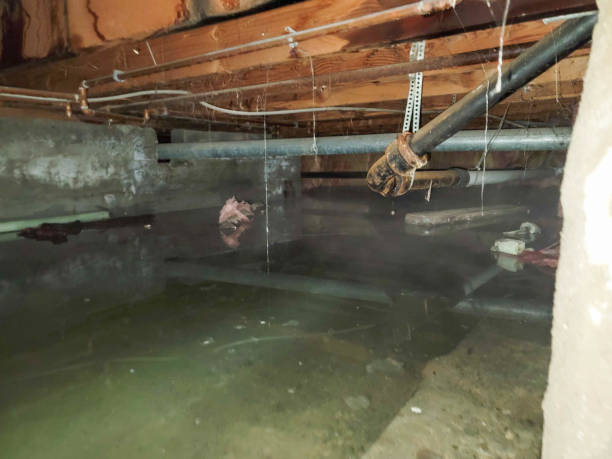 Professional Water damage restoration in Southchase, FL