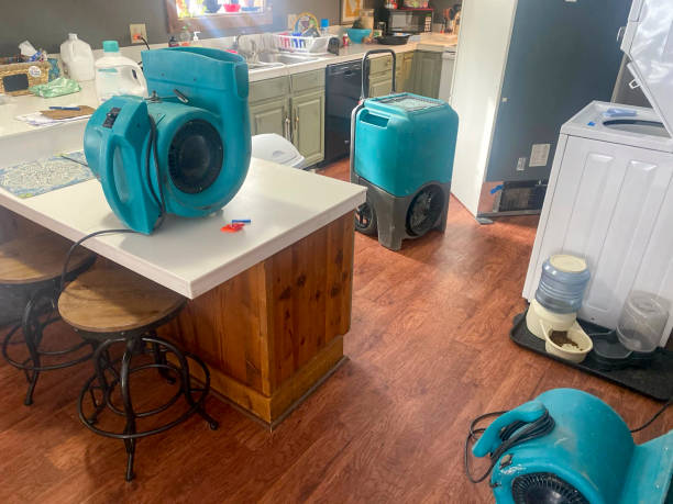 Best Ceiling water damage repair  in Southchase, FL