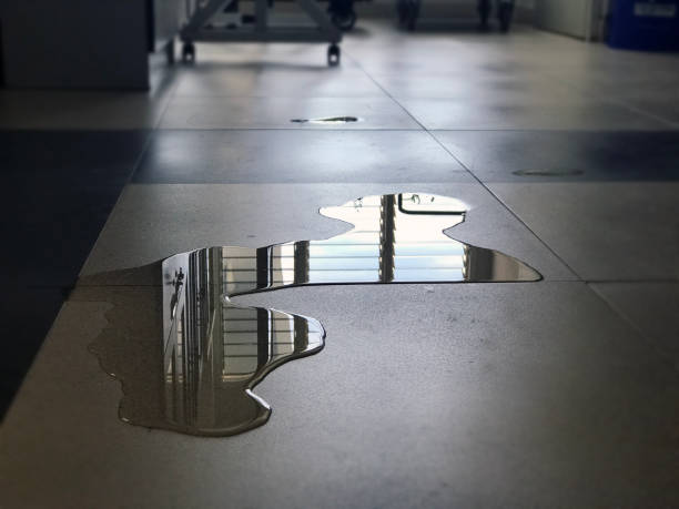 Best Water damage restoration near me  in Southchase, FL