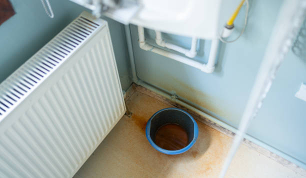 Best Mold removal after water damage  in Southchase, FL