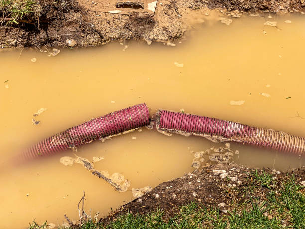 Southchase, FL Water damage restoration Pros